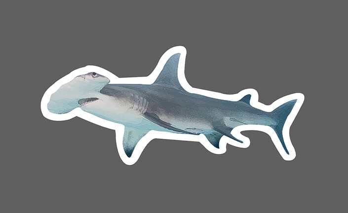 Hammerhead Shark Sticker Waterproof – Buy Any 4 For $1.75 Each Storewide!