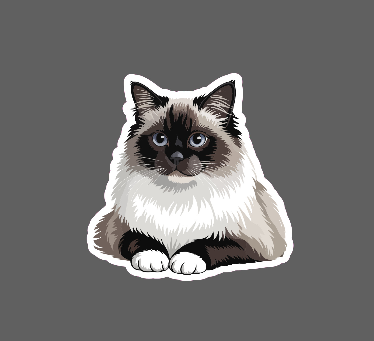 Birman Cat Sticker Cats Animal Pet Friend Love Family Cute Gift Waterproof NEW
