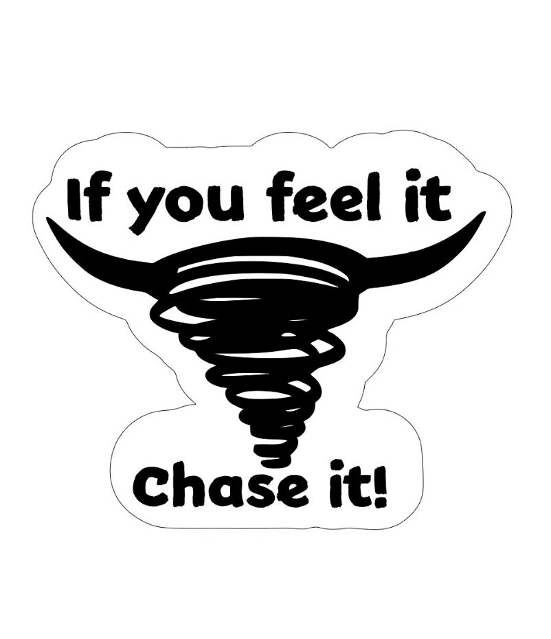 Twisters 2024 Movie Style Vinyl Decal Sticker “Chase It” Glen Powell 6×5 Inches!