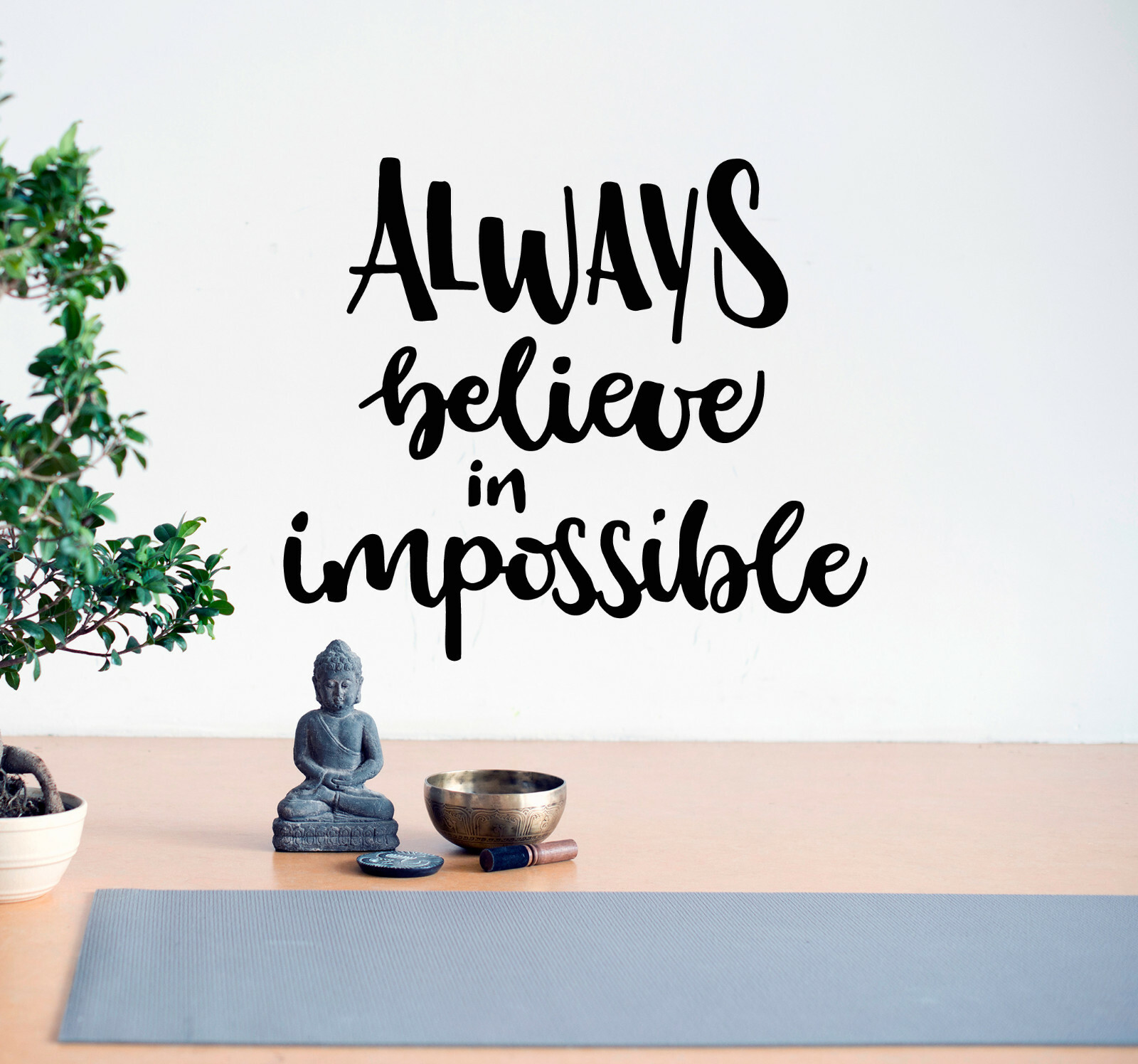 Vinyl Wall Decal Always Believe In Impossible Stickers 22.5 in x 19 in gz124