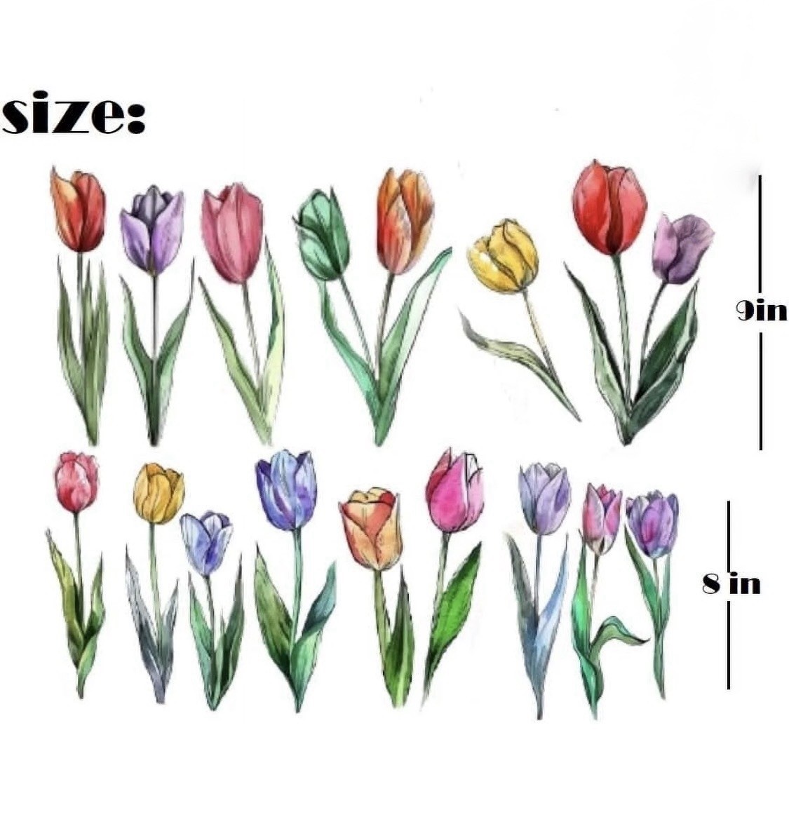 Tulip Flower Wall Decals – Colorful Watercolor Peel and Stick Vinyl Art