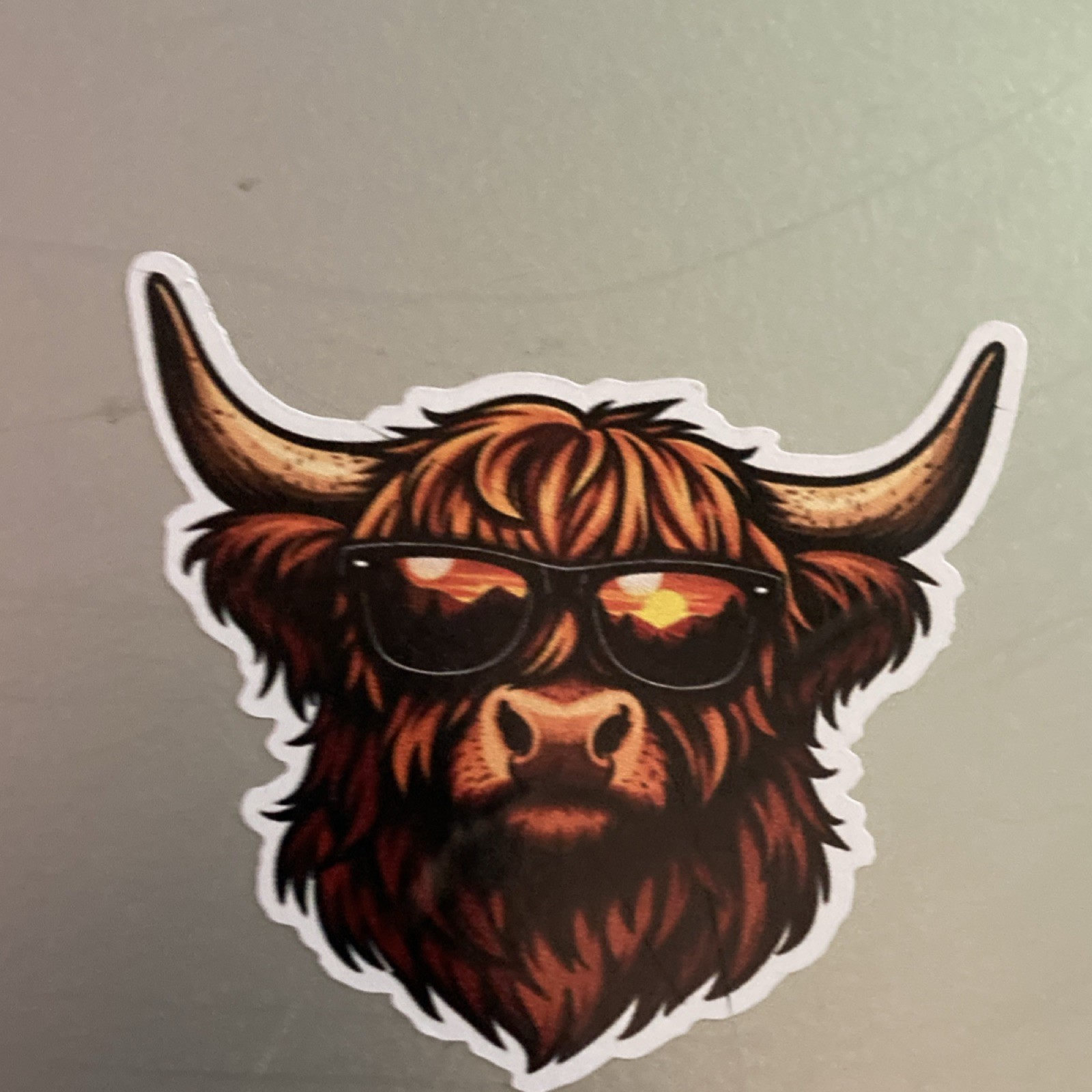 2 Highland Cow Multicolor Vinyl Sticker, for Water bottle, laptops, and more