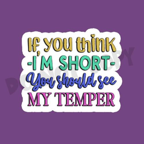 Funny and Sarcastic Quotes and Sayings Glossy Printed Vinyl Stickers