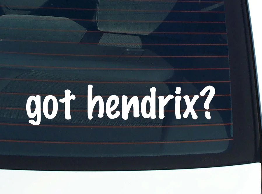 got hendrix? FUNNY VINYL CAR DECAL STICKER FAMILY LAST NAME