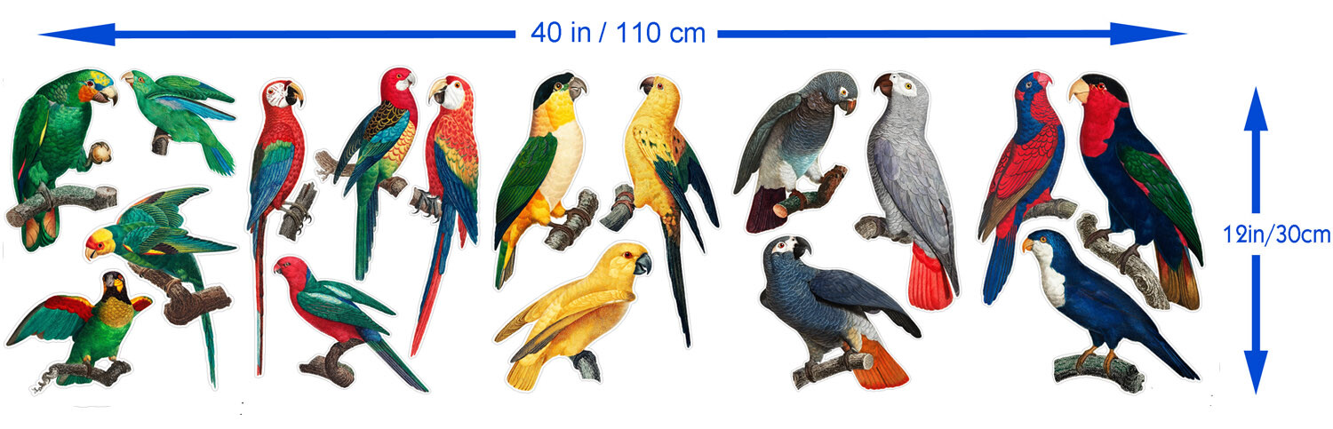 Vinyl Wall Stickers/VINTAGE COLORFUL PARROTS/Waterproof, Outdoor, Wall-Safe