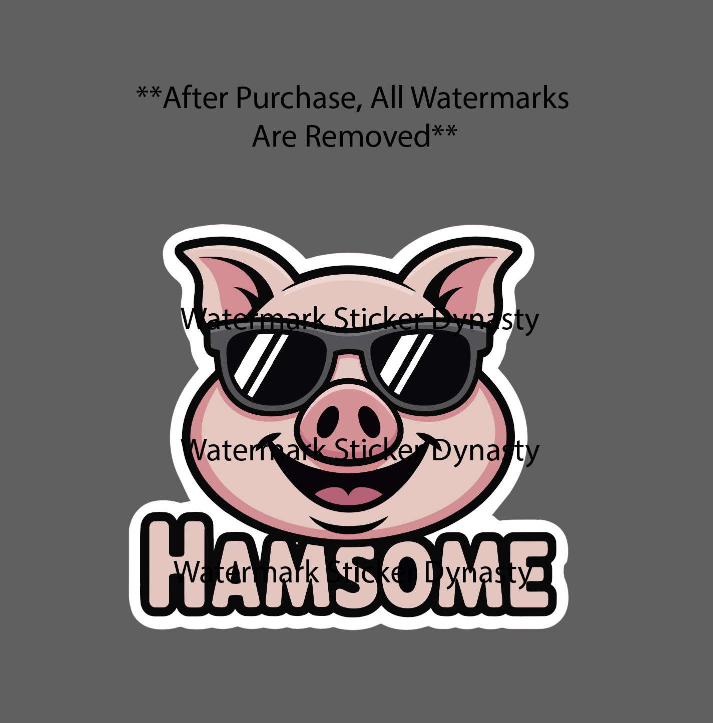 Hamsome Sticker Waterproof Decal Pig Farm Farmhouse Quote Funny Ham Gift NEW