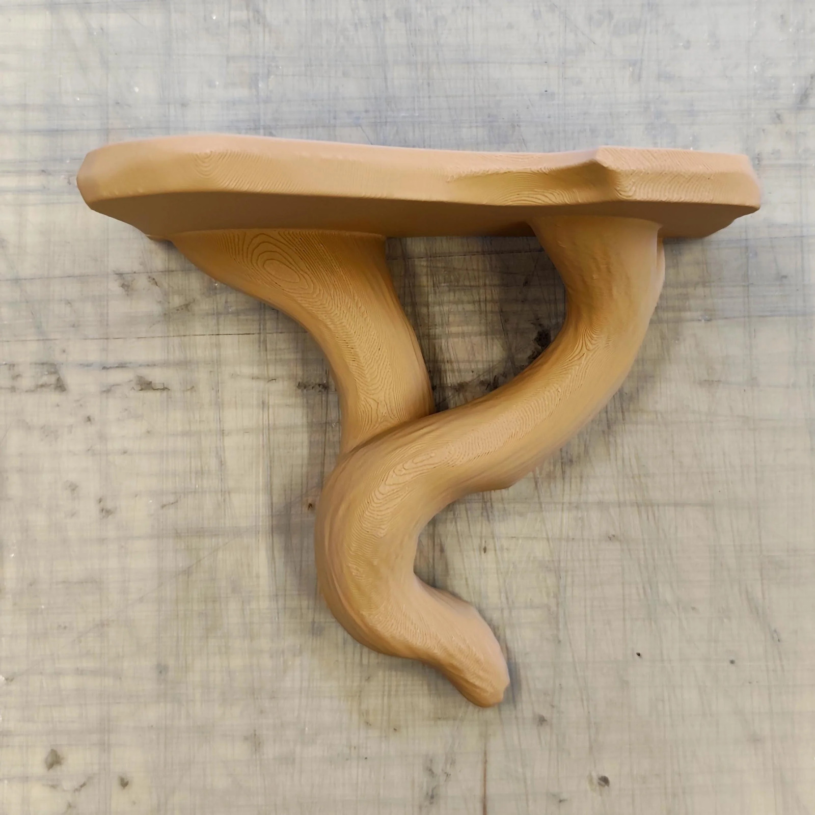 3D Printed Tree Shelf | Floating Wall Shelf with Vine Design | Rustic Plant