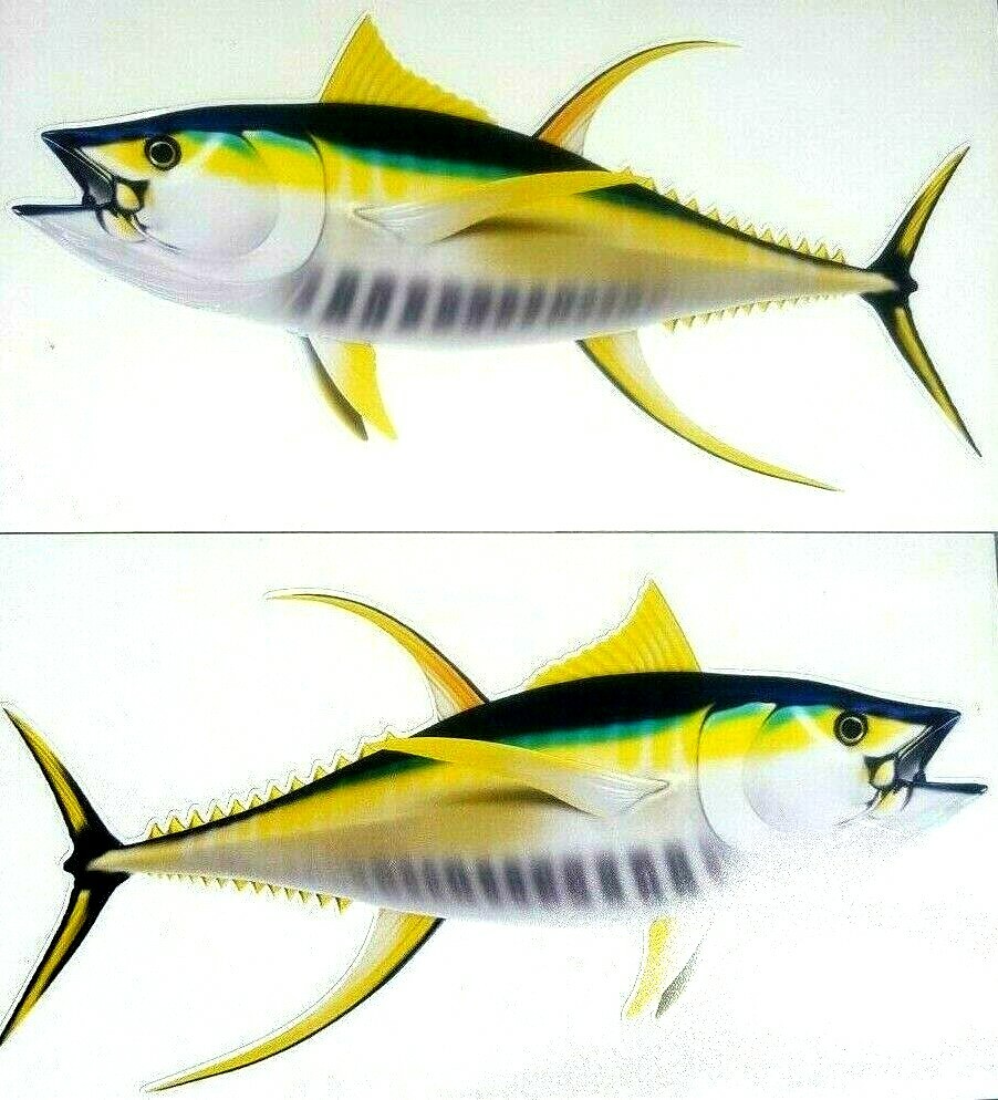Yellowfin Tuna Decals Fish Stickers Set of 2 Vinyl Stickers #116