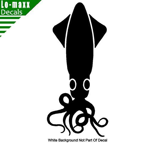 Squid Fine Art Marine Life Cephalopod Ocean Beach Sea Unique Die Cut Vinyl Decal
