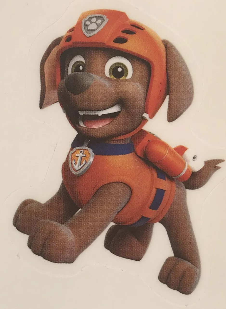 PAW PATROL 8 Removable Wall Decals Ryder Chase Marshall Skye Kids Room No Damag