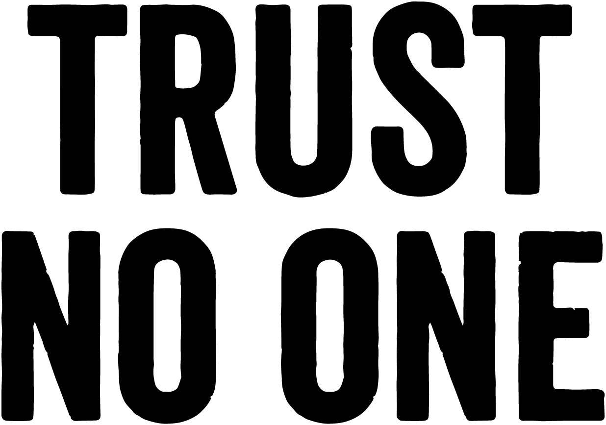 Trust No One vinyl decal X-Files Sticker david duchovny gillian anderson