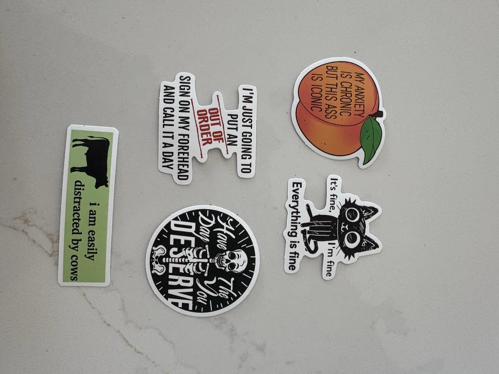 Set Of 5 Funny Quirky Sayings Stickers Skeletons Cats Words Quotes Sticker Lot