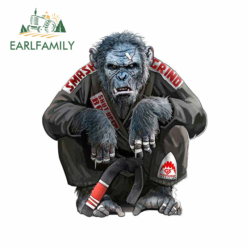 Custom Made Brazilian Jiu Jitsu Decals Stickers For Car Or Academy Door BJJ MMA