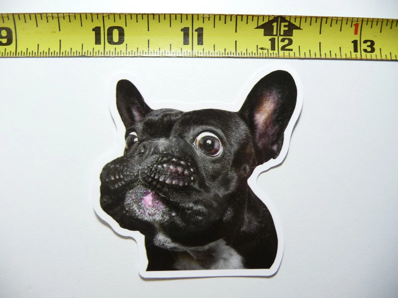 FRENCH BULLDOG CATCHING TREAT FUNNY DOG SMALL STICKER DECAL PET PLAY FURBALL