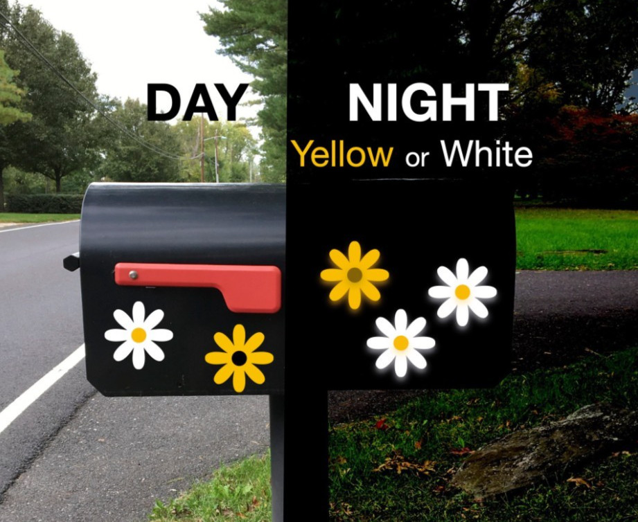 Reflective Magnets -Daisy Flowers or Black Eyed Susans, 3 inches