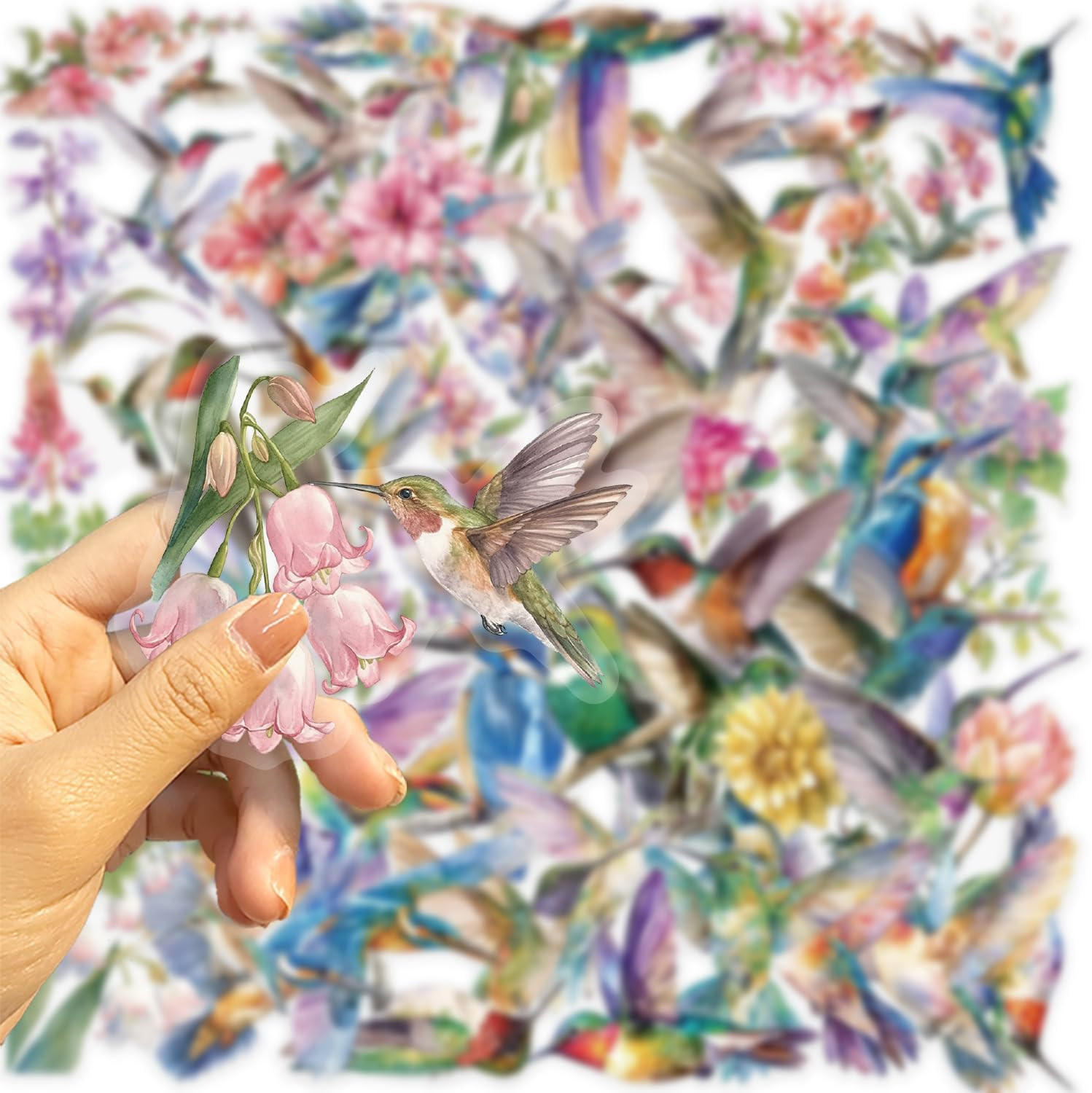 50PCS Transparent Hummingbird Stickers Nature Decals Waterproof Decorative Decal
