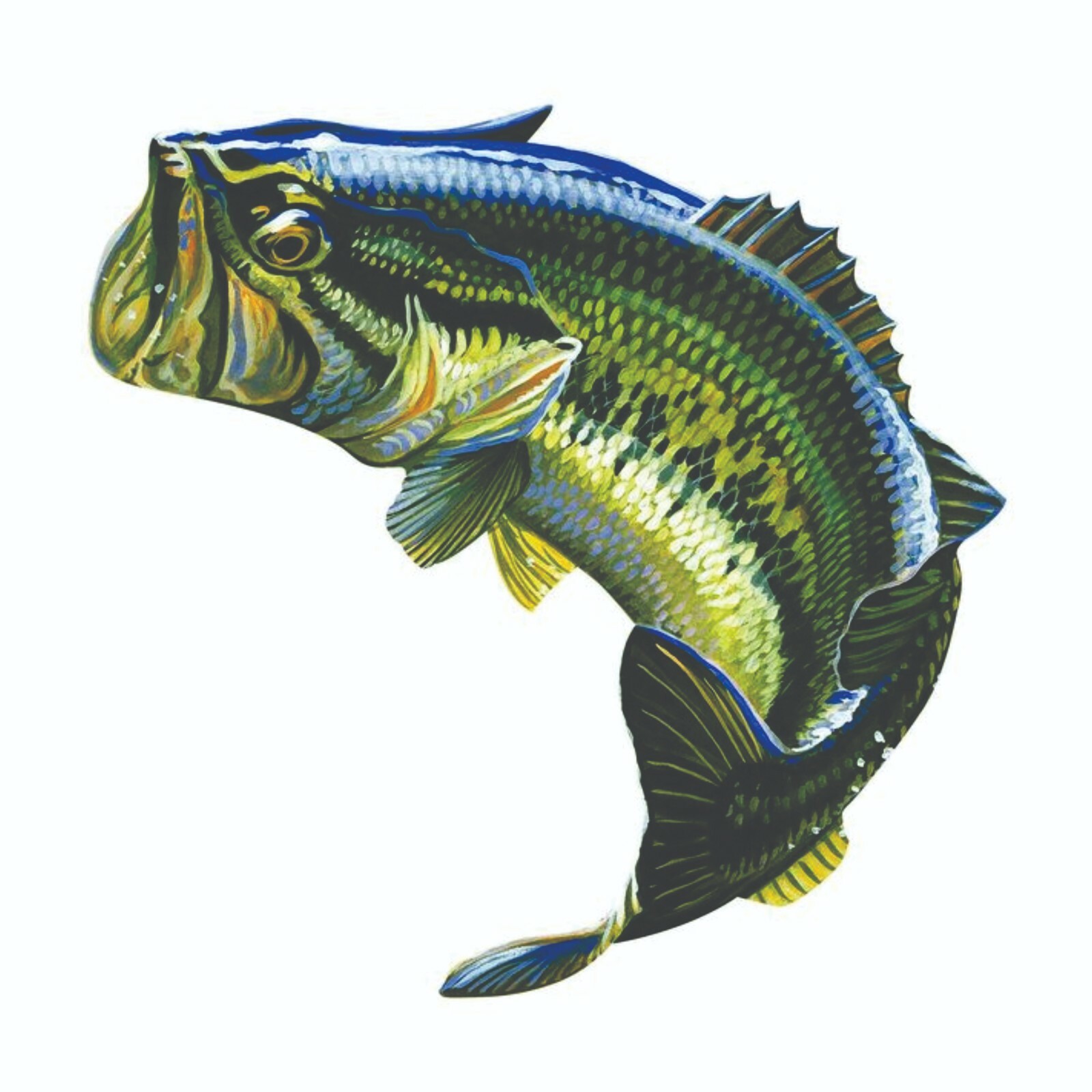 Large Mouth Bass Sticker, Decal, Bumper Sticker Truck, Fishing, Boat Stickers