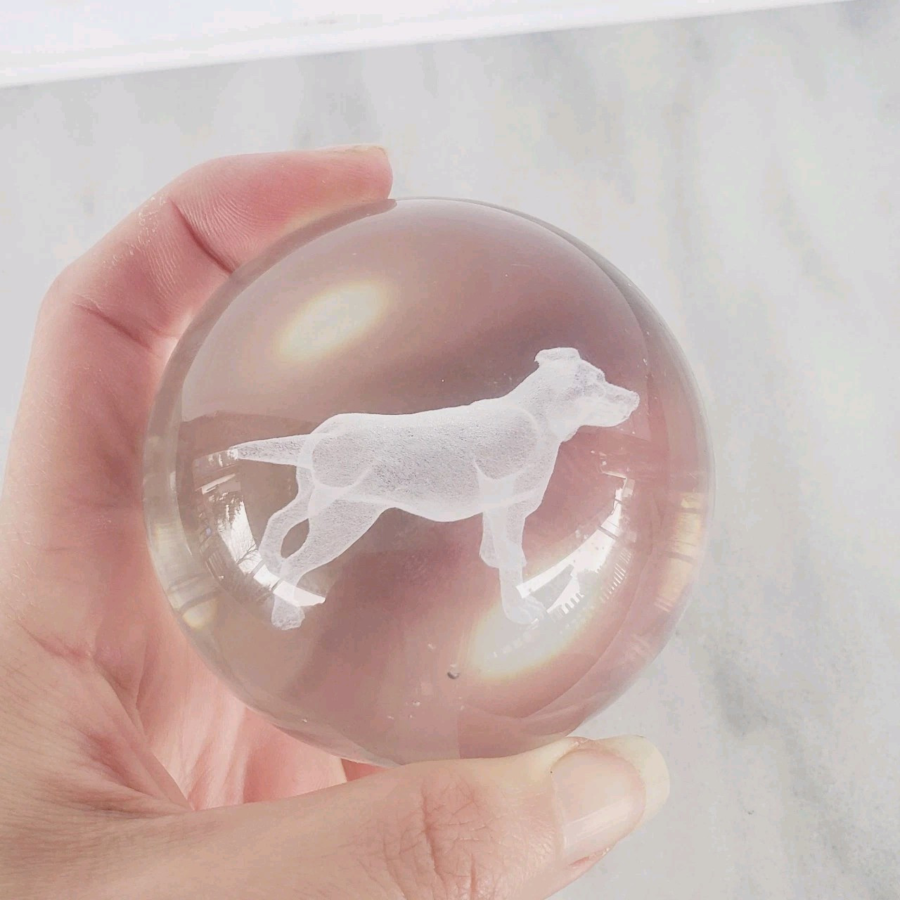 3D Medium Dog Crystal Ball Laser Engraved Home Decoration Living Room Bedroom