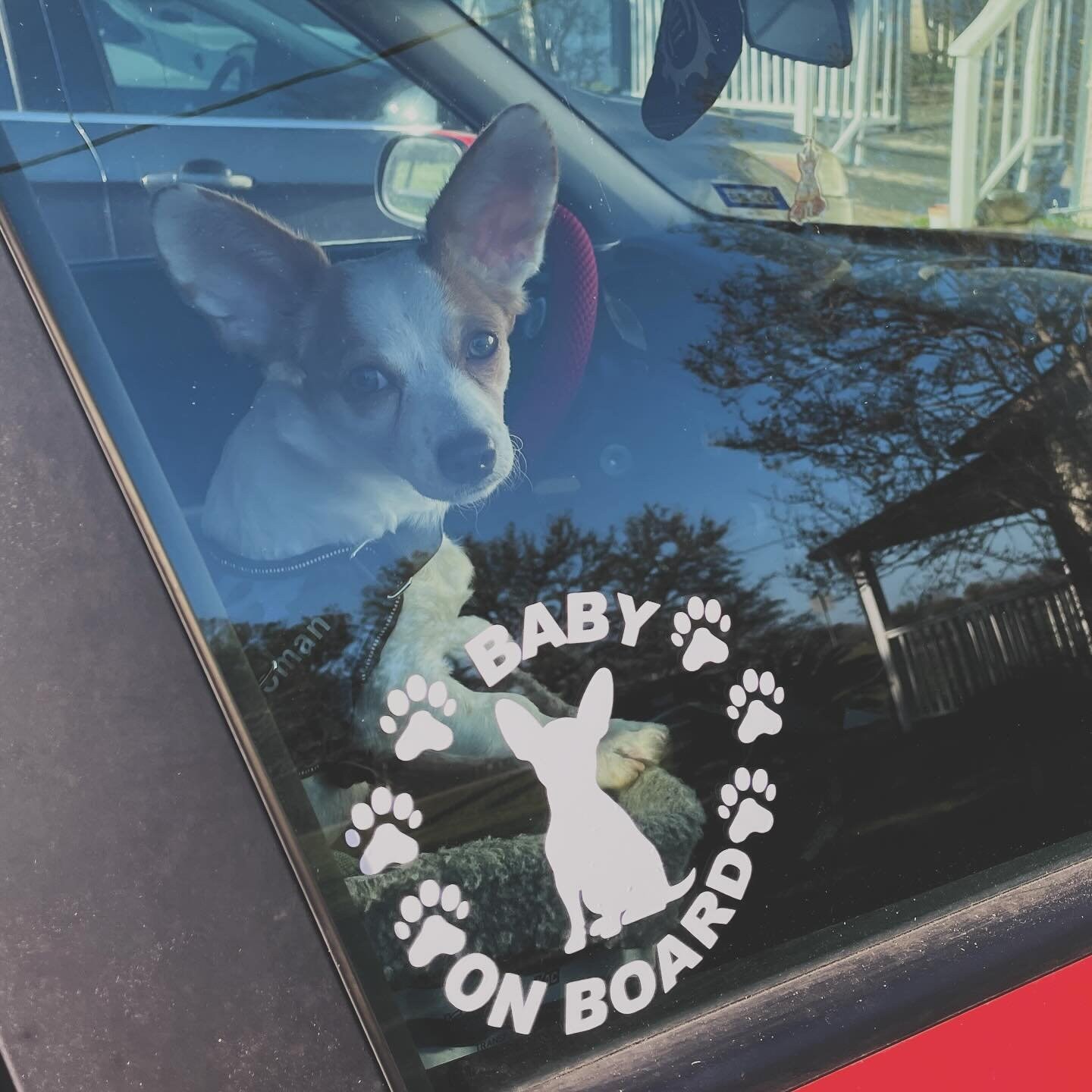 Baby on Board Chihuahua Dog Reflective/ Oil Slick/ Holographic Window Car Decal