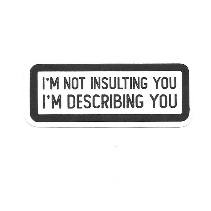 I’m Not Insulting You Im Describing You Vinyl Sticker Novelty Sarcastic Gift Art