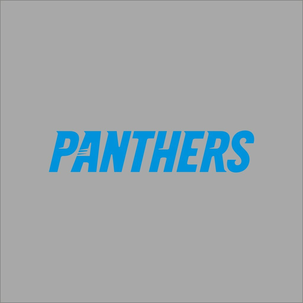 Carolina Panthers #5 NFL Team Pro Sports Vinyl Sticker Decal Car Window Wall