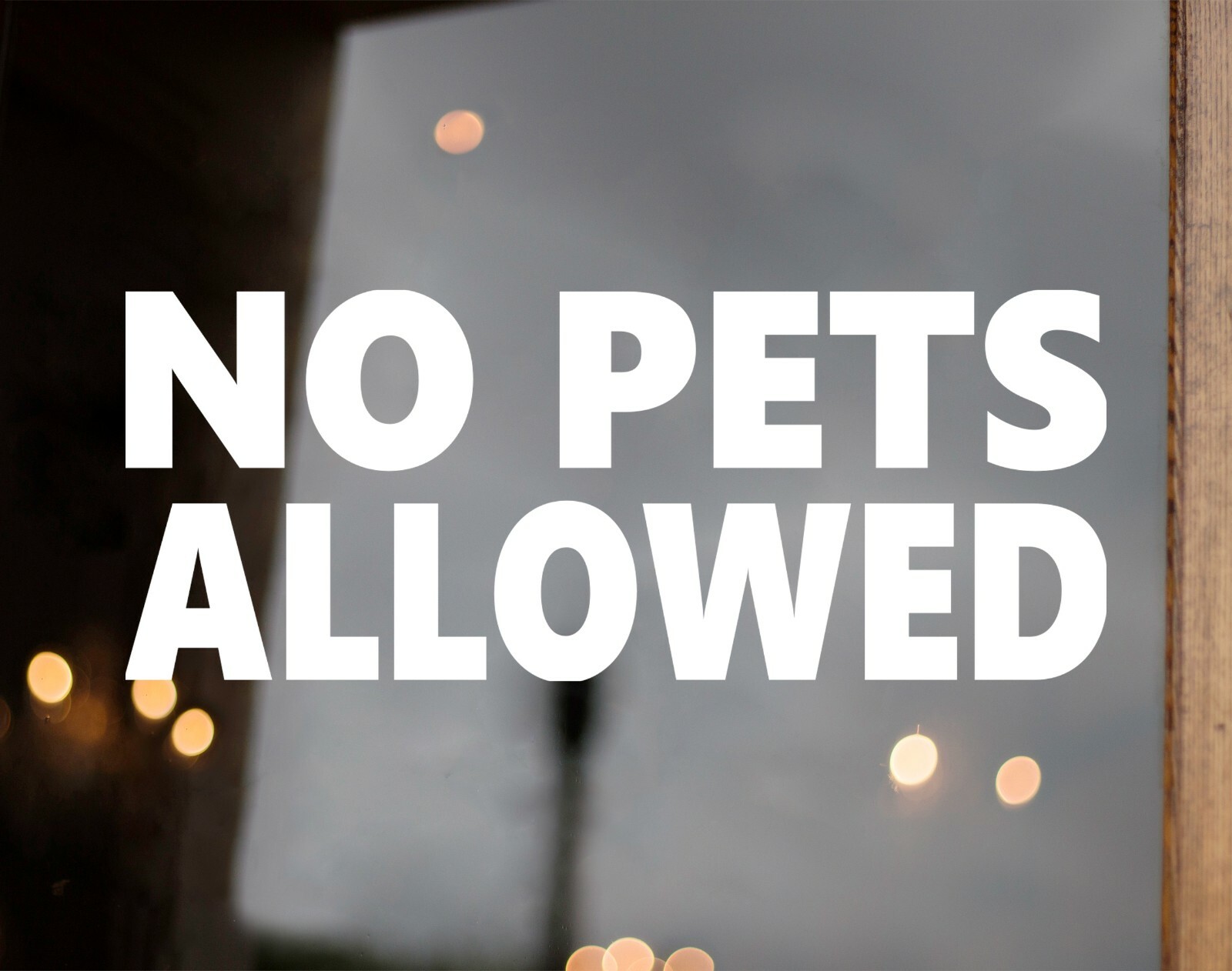 No Pets Allowed Vinyl Sticker V1 – Dogs Store Window Business – Die Cut Sticker