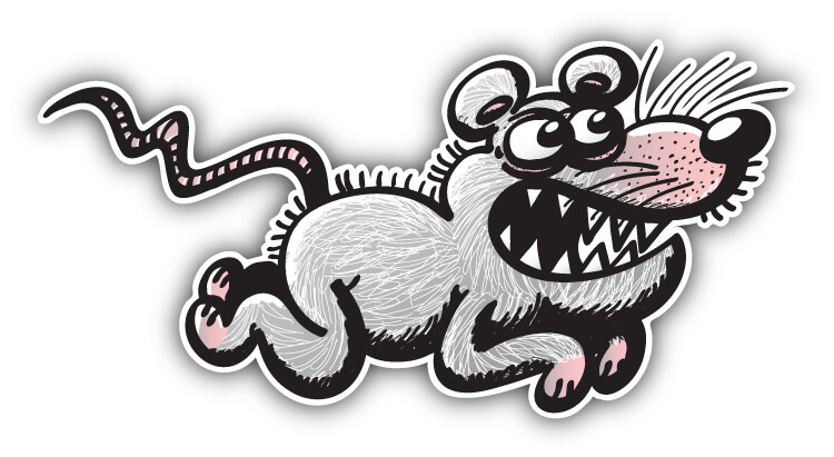 Rat Sketch Car Bumper Sticker Decal