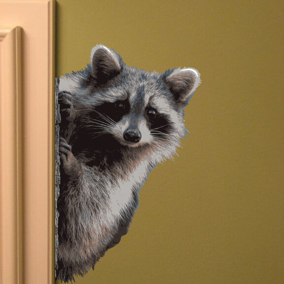 Raccoon Peering Around Wall Decal – 11″ tall x 7″ wide