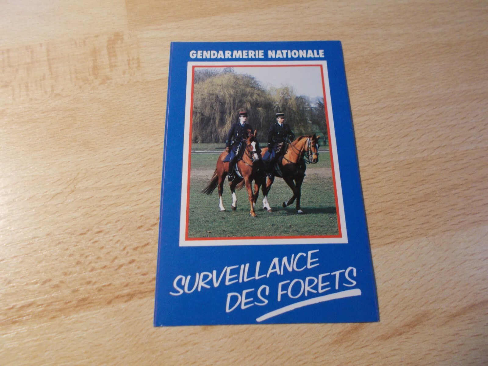 Sticker Mounted National – Monitoring Forest