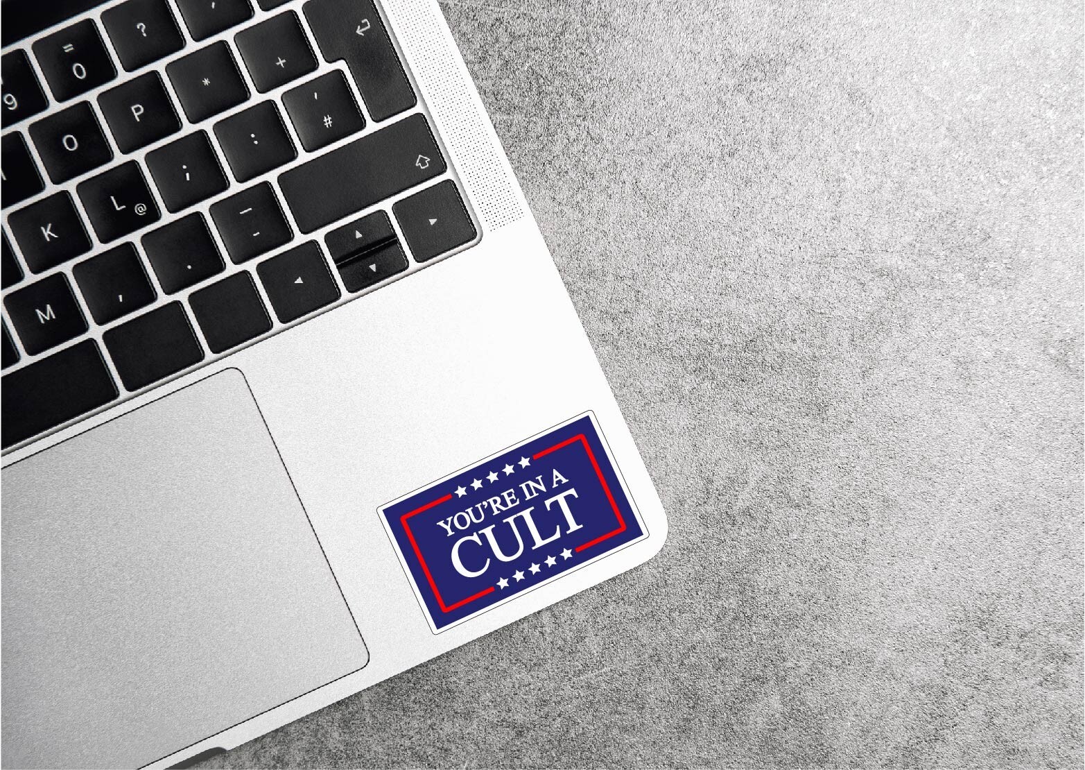 Youre In A Cult Decal Sticker Anti Trump MAGA Biden Political 47 Protest Voters