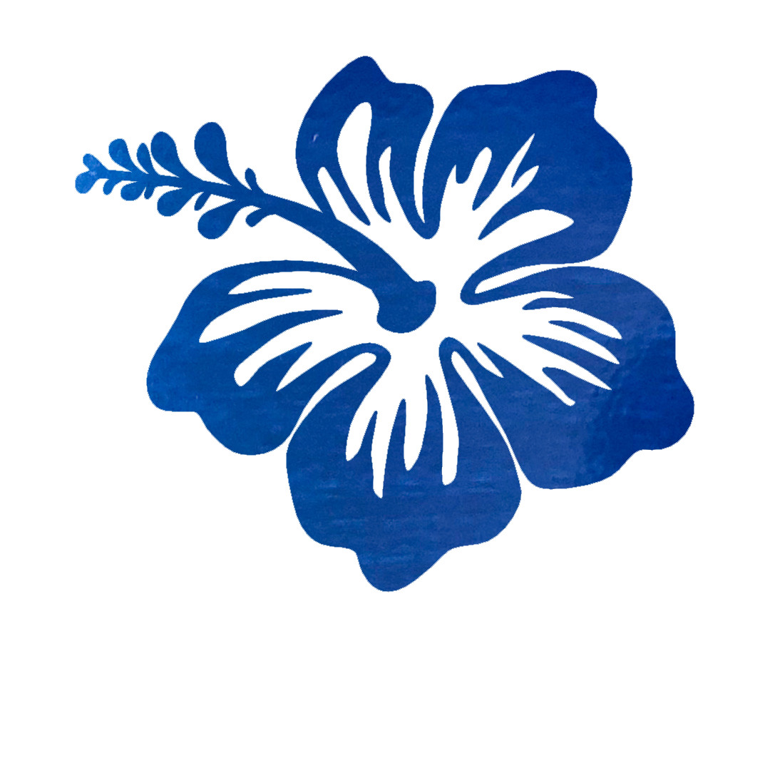 Hibiscus Flower