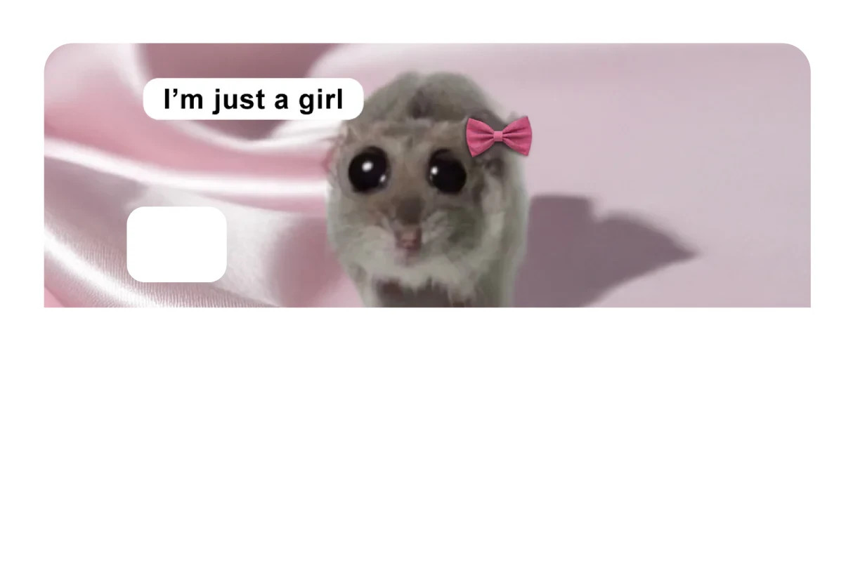 I’m Just a Girl Card Skin 4 Pack Hamster Meme Funny Viral Pink Coquette Aestheti