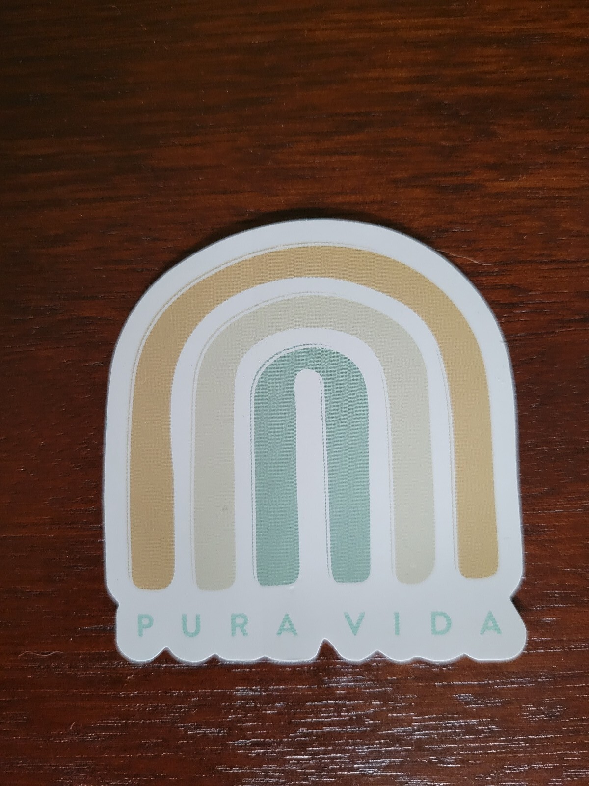 New Pura Vida June 2023 Monthly Bracelet Club Rainbow STICKER
