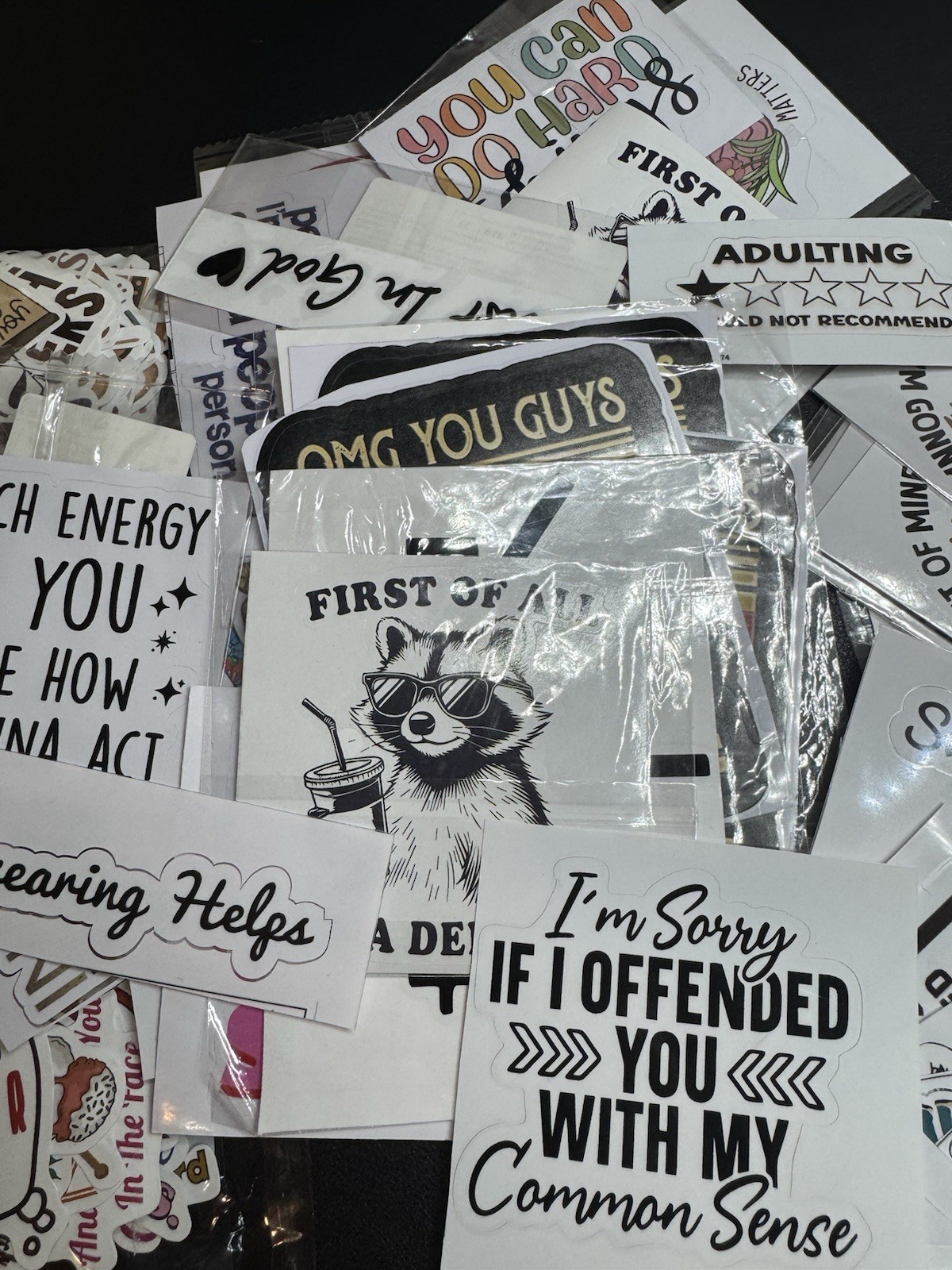 200PCS Funny Meme Stickers Adult Sarcastic Waterproof Vinyl Laptop Decals New