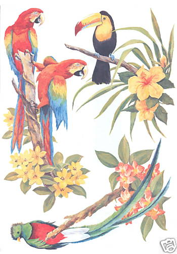 TROPICAL BIRDS WITH FLOWERS CREATIVE WALL ART TRANSFER DECOR WALL ART TATOUAGE