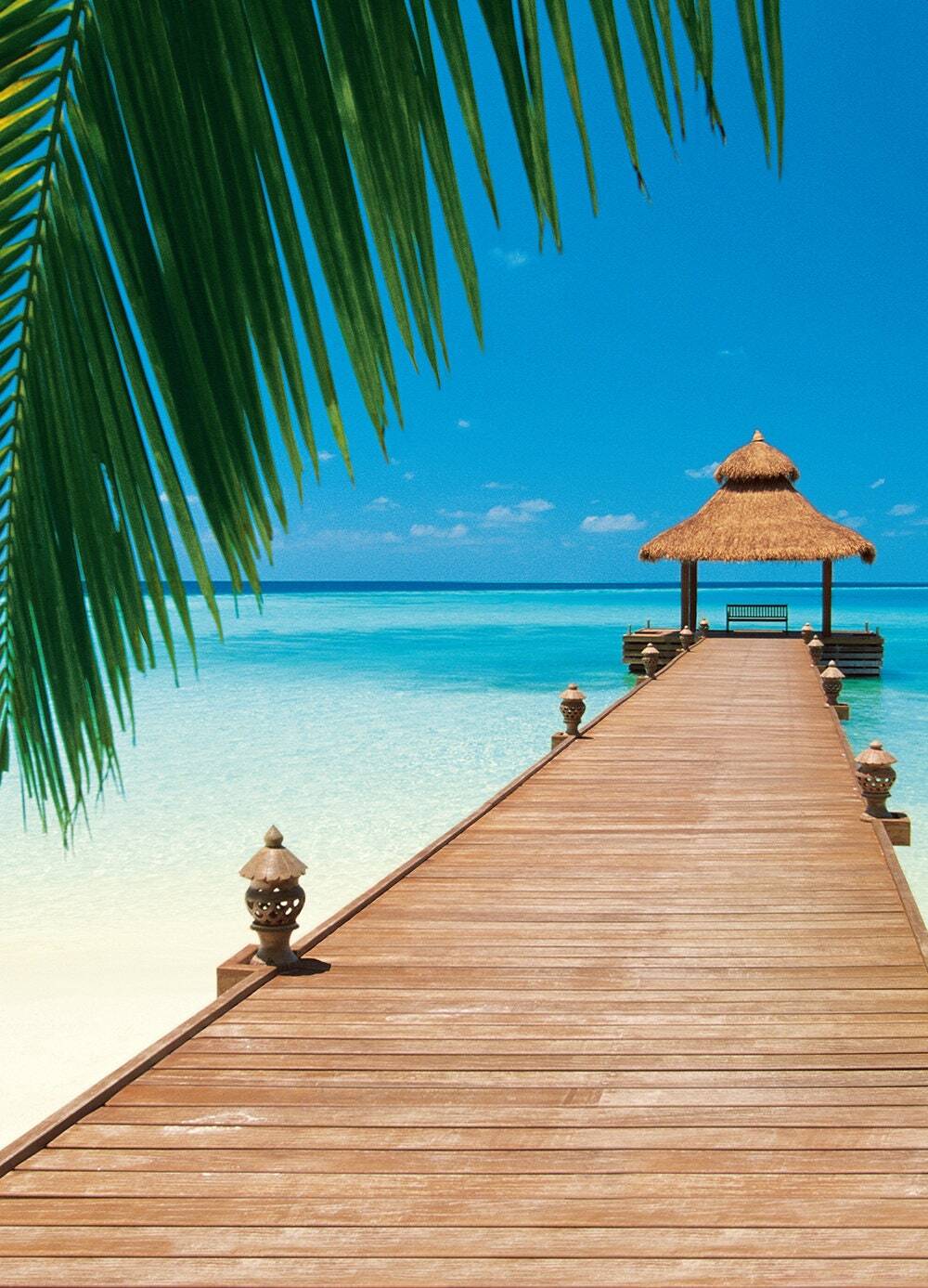 Large WALL MURAL 72”x100” Paradise Island Beach Topical Sun Palm Clear Water