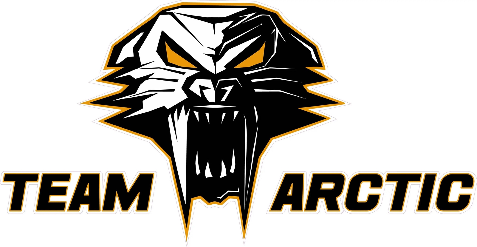 Team Arctic Cat Orange Decal Version 3