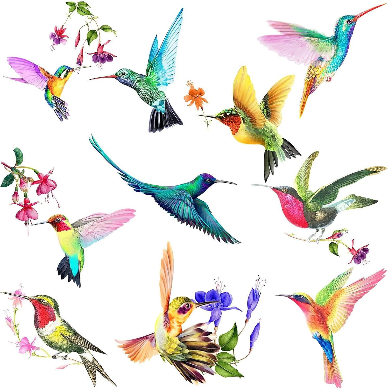20 Pieces Large Size Hummingbird Window Hummingbird Decals for Windows Anti-Coll