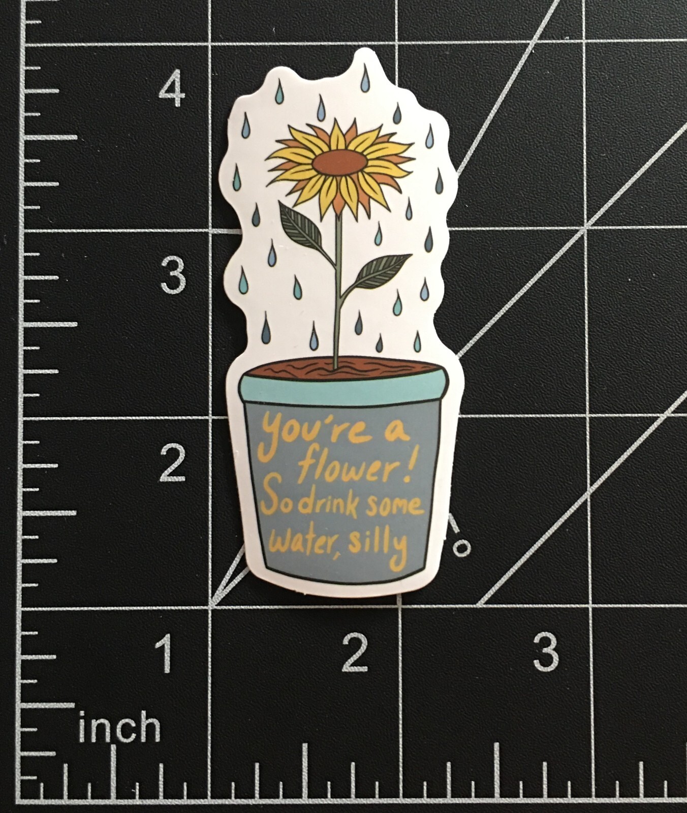 You’re a Sunflower So Drink Some Water Silly Vinyl Sticker Funny Saying Durable