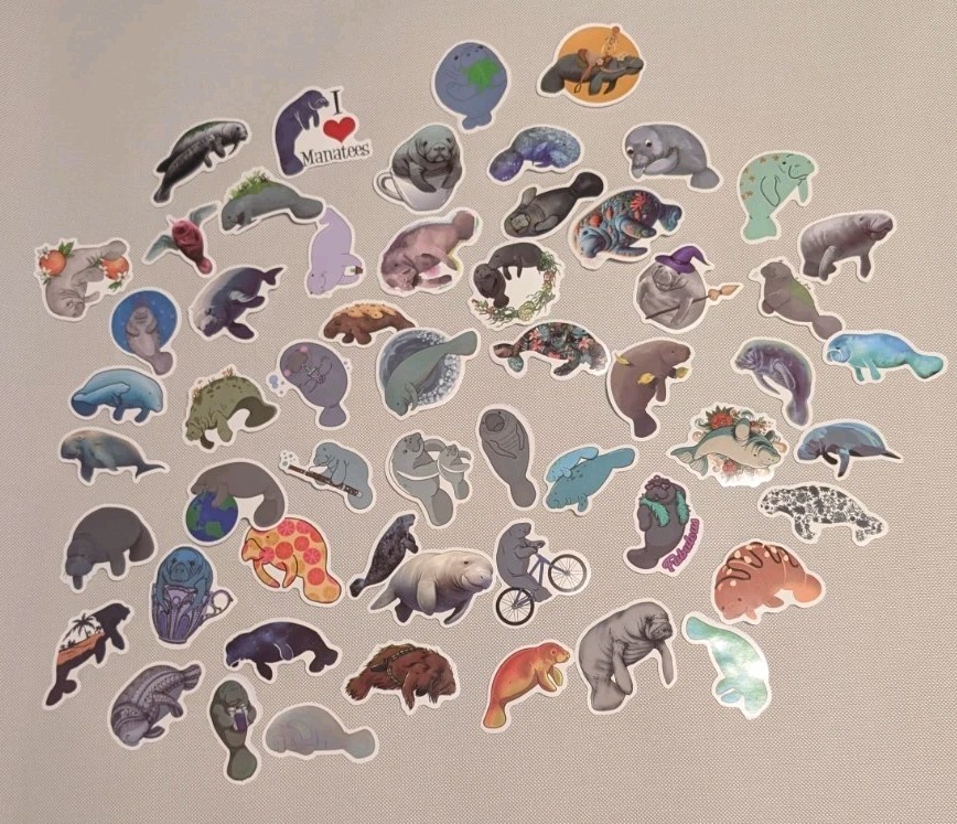 MYSTERY MIXED LOT OF 10 MANATEE GRAPHIC DECAL STICKER ART CAR WALL LAPTOP DECOR