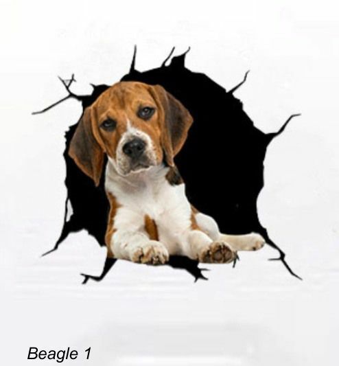 LARGE-SIZED CAR DECALS – BEAGLE
