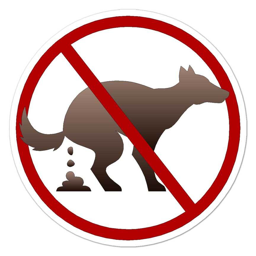 No Dog Poop, Vinyl Decal Sticker, Indoor Outdoor, 3 Sizes, #8098