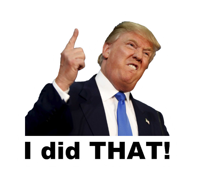 I did THAT – Trump Sticker Anti-Trump political meme stickers