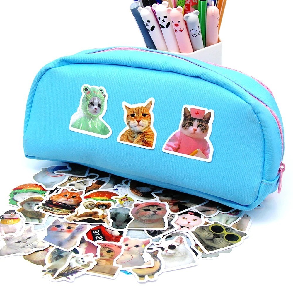 100pcs Funny Cat Meme Stickers Cartoon Decals For Guitar Phone Bicycle Laptops
