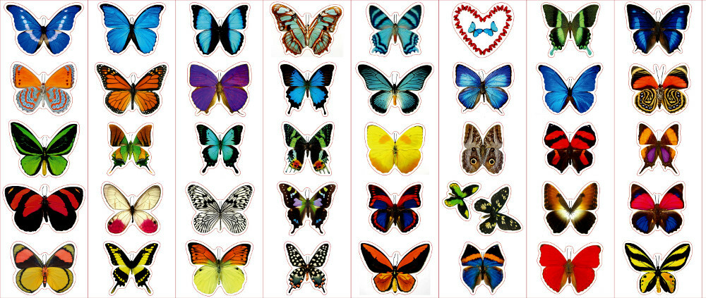 Premium Butterfly Stickers, Decals – for Cards, Envelopes, Laptops, Windows