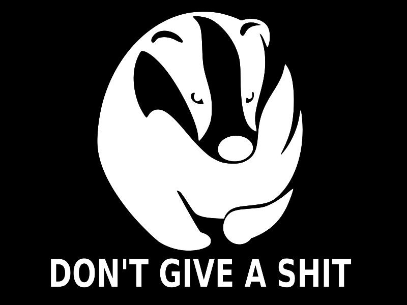 HONEY BADGER DON’T GIVE A SH*T Vinyl Decal Car Window Sticker CHOOSE SIZE COLOR