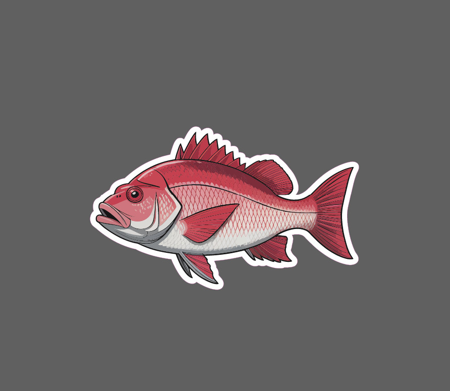 Red Snapper Sticker Fish Outdoor Wildlife Nature Ocean Waterproof Gift NEW