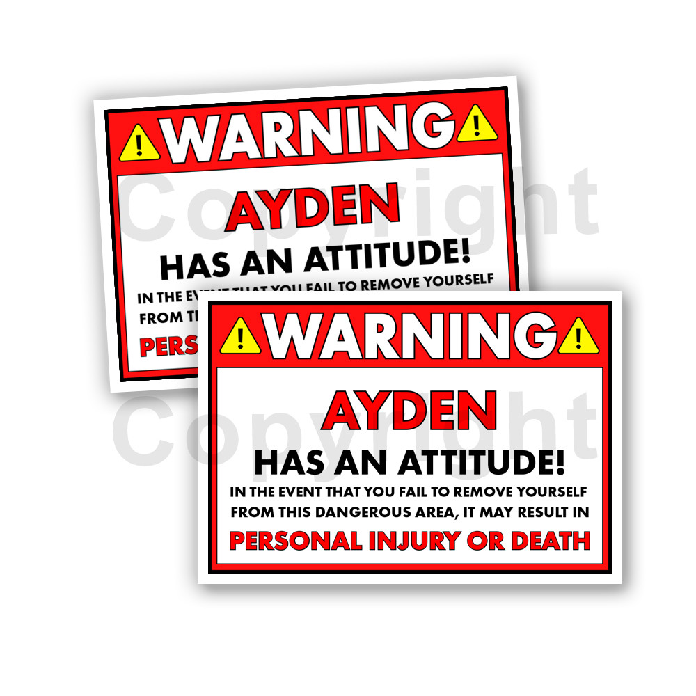 AYDEN HAS AN ATTITUDE 2 Funny Warning Stickers 5inch wide orange Set of 2