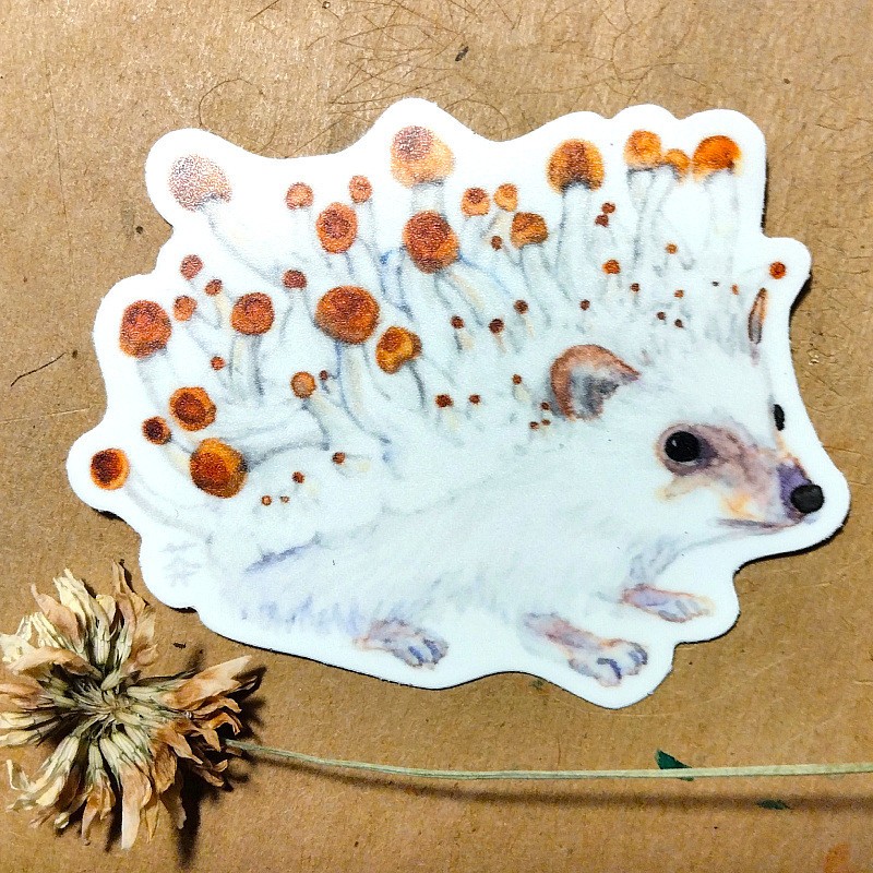 Mushroom Hedgehog Vinyl Sticker 2.5″