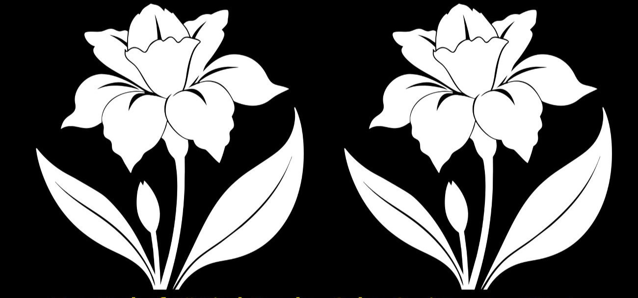 Iris Flower Silhouette Two Pack 5″ Vinyl Decals Car Window Any Flat Surface